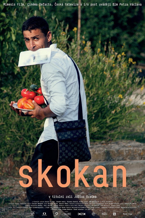 Movie poster for Skokan (2017)