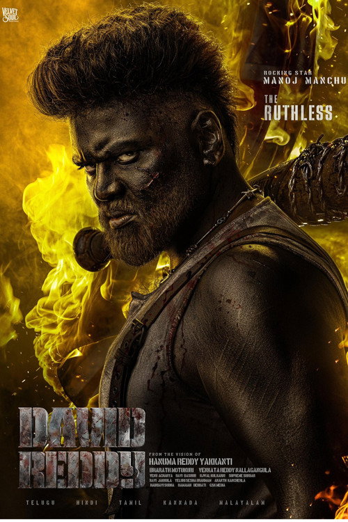 Movie poster for David Reddy
