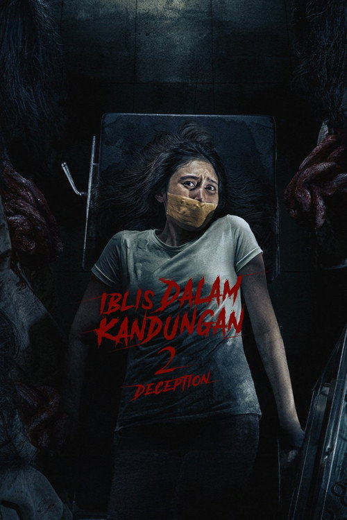 Movie poster for Devil in the Womb 2: Deception (2025)