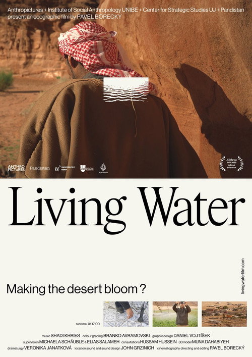 Movie poster for Living Water (2020)