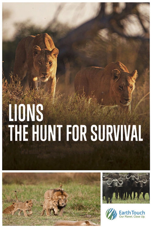 Movie poster for Lions: The Hunt for Survival (2021)