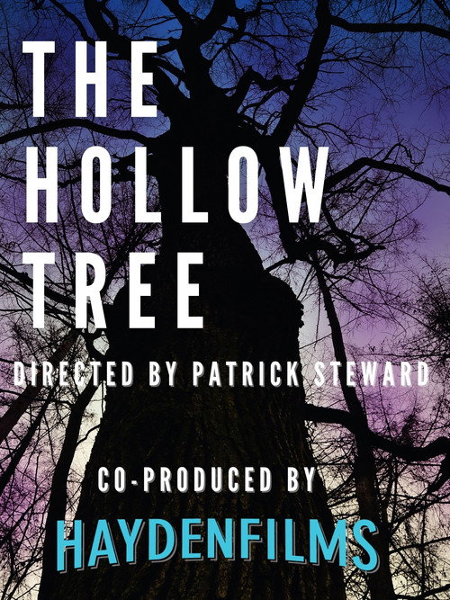 Movie poster for The Hollow Tree (2008)