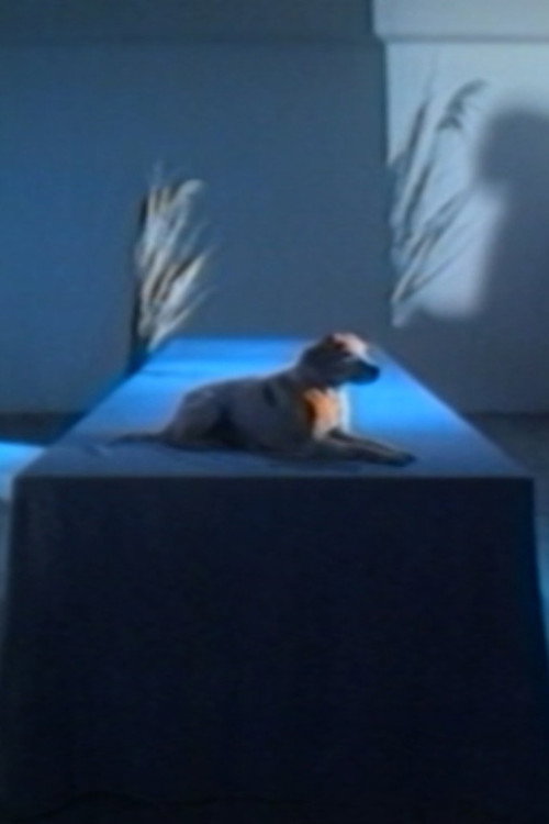 Movie poster for Between Dog and Wolf (1989)