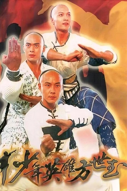 Young Master Of Shaolin poster