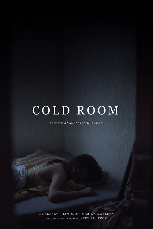 Movie poster for Cold Room (2019)