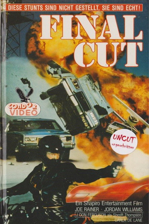 Movie poster for Final Cut (1989)