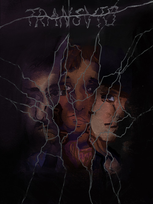 Movie poster for Transvio