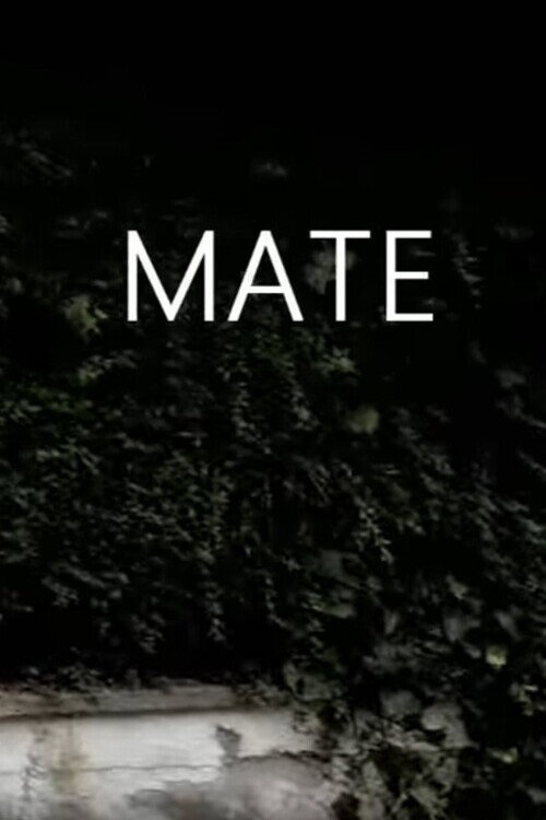 Movie poster for Mate (2012)
