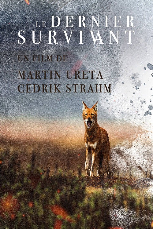 Movie poster for The Last Survivor (2024)