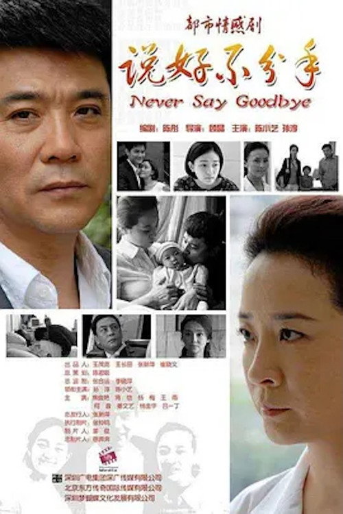 说好不分手 poster