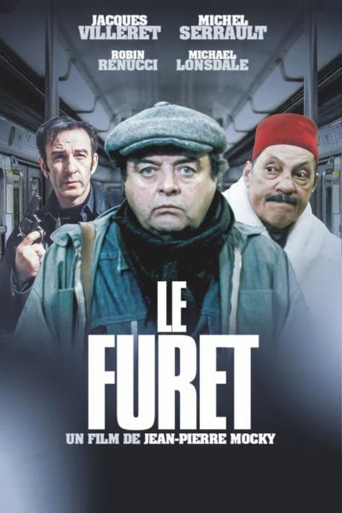 Movie poster for Le Furet (2003)