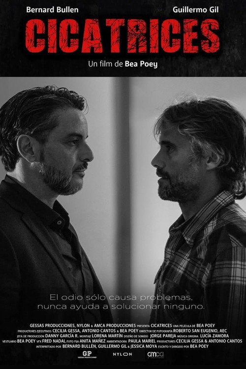 Movie poster for Cicatrices (2025)