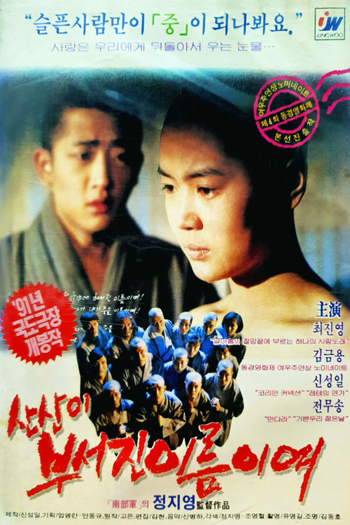 Movie poster for Beyond the Mountain (1991)