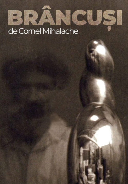 Movie poster for Brâncuși (1996)