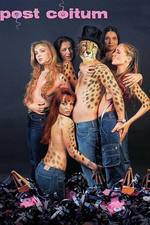 Movie poster for Post Coitum (2004)