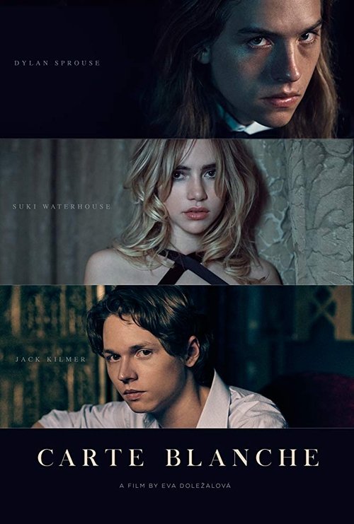 Movie poster for Carte Blanche (2019)