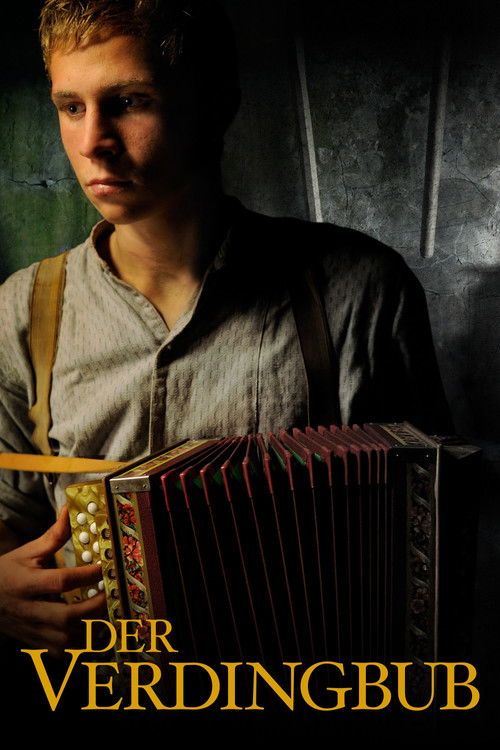 Movie poster for The Foster Boy (2011)