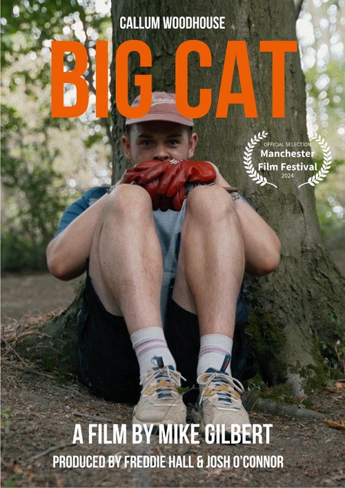 Movie poster for Big Cat (2024)