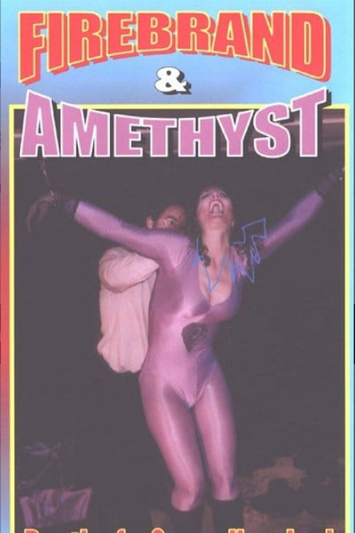 Movie poster for Firebrand & Amethyst (2003)