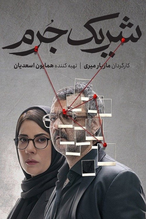 Movie poster for Accomplice (2023)