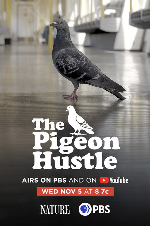 The Pigeon Hustle poster