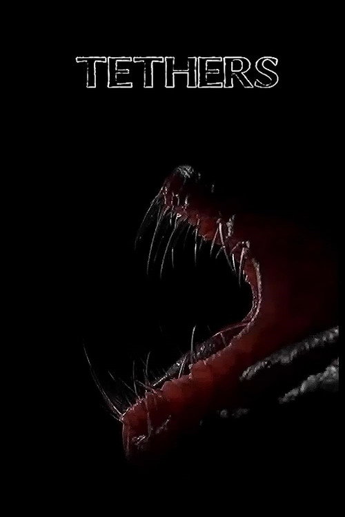 Movie poster for Tethers (2016)