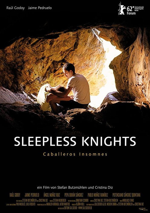 Movie poster for Sleepless Knights (2012)