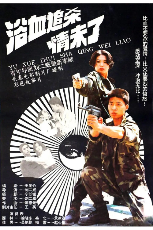 Movie poster for The Detective and The Desperado (1995)