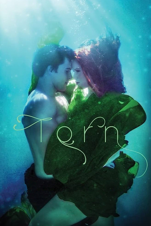 Movie poster for Torn (2022)