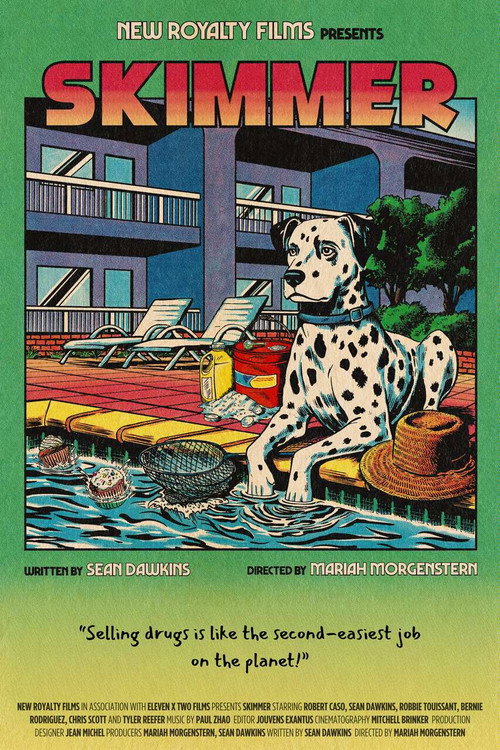 Movie poster for Skimmer