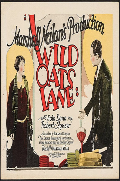 Movie poster for Wild Oats Lane (1926)