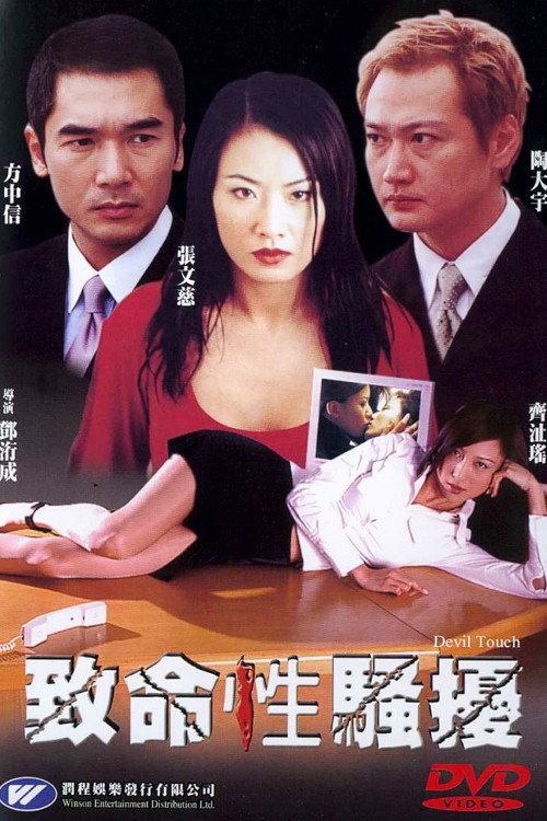 Movie poster for Devil Touch (2002)