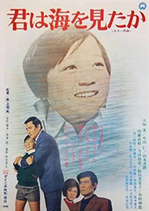 Movie poster for 君は海を見たか (1971)