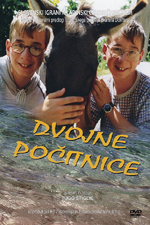 Movie poster for Double Holidays (2001)