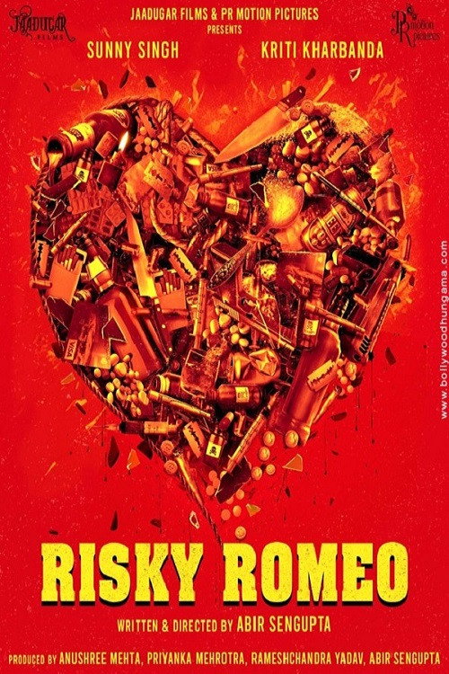 Movie poster for Risky Romeo