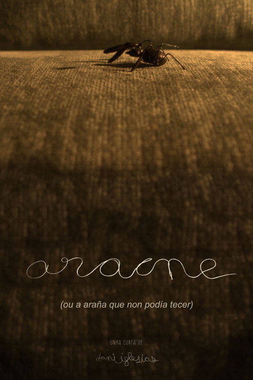 Movie poster for Aracne (ou a araña que non podía tecer) (2024)