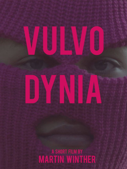 Movie poster for Vulvodynia (2017)