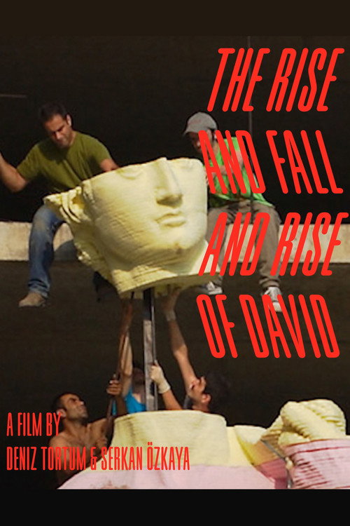Movie poster for The Rise and Fall and Rise of David (2016)