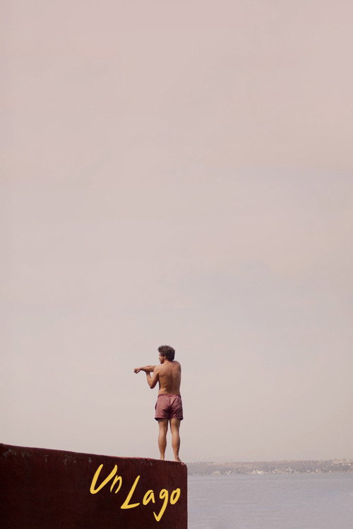 Movie poster for A Lake (2025)
