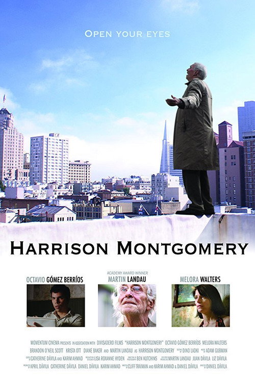 Movie poster for Harrison Montgomery (2008)