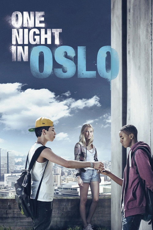 Movie poster for One Night in Oslo (2014)