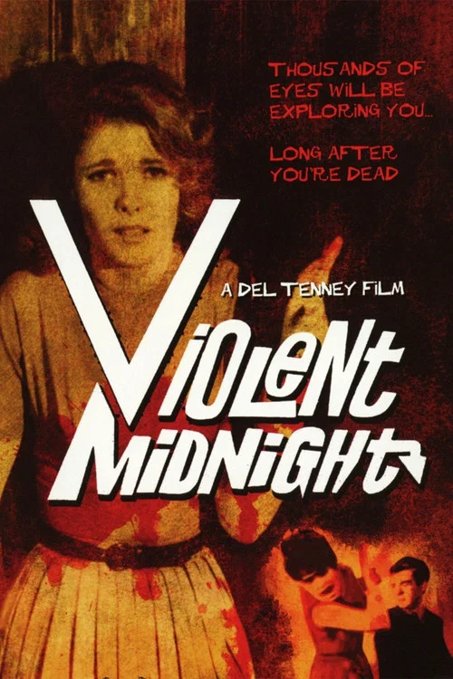 Movie poster for Violent Midnight (1963)