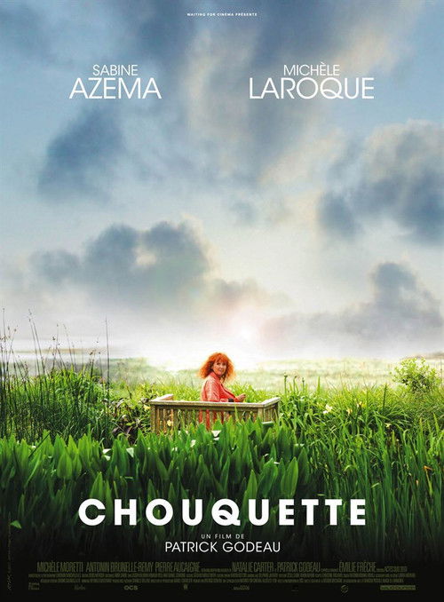 Movie poster for Chouquette (2017)