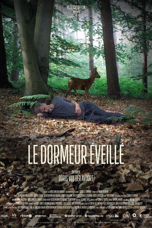 Movie poster for The Wakeful Sleeper (2021)
