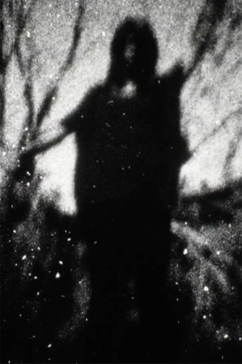 Movie poster for Signals (2019)