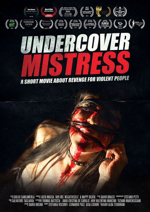 Movie poster for Undercover Mistress (2016)