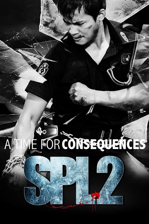 Movie poster for SPL 2: A Time for Consequences (2015)