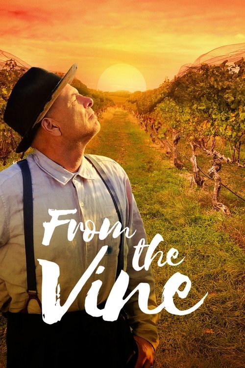 Movie poster for From the Vine (2019)