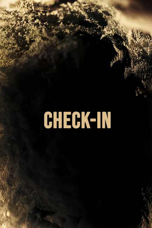 Movie poster for Check-in (2024)