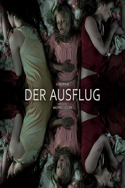 Movie poster for The Outing (2012)